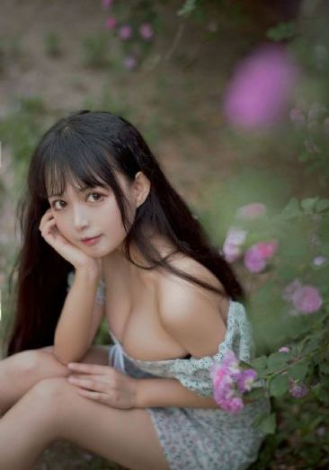 天官赐福第二季动漫免费播放