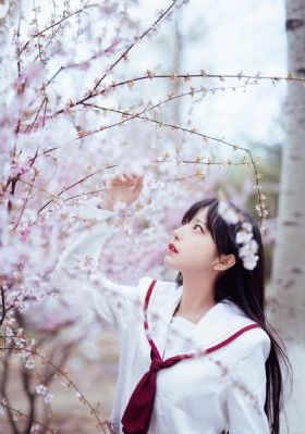 乡村爱情8免费观看全集完整版